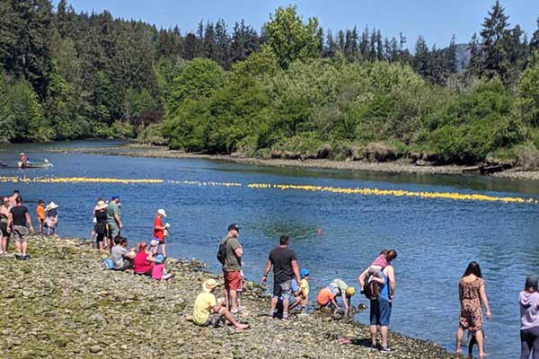 Sooke Annual Rubber Duck Race