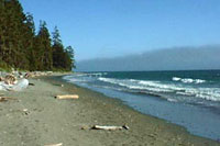 China Beach - Sooke, Vancouver Island, BC