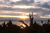 Gordon's Beach - Sooke, Vancouver Island, BC