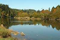 Sooke River Flats - Sooke, Vancouver Island, BC