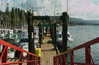 Crabbing at Government Wharf - Sooke, Vancouver Island, BC